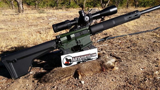 Franklin Armory F17-L with Ground Squirrel
