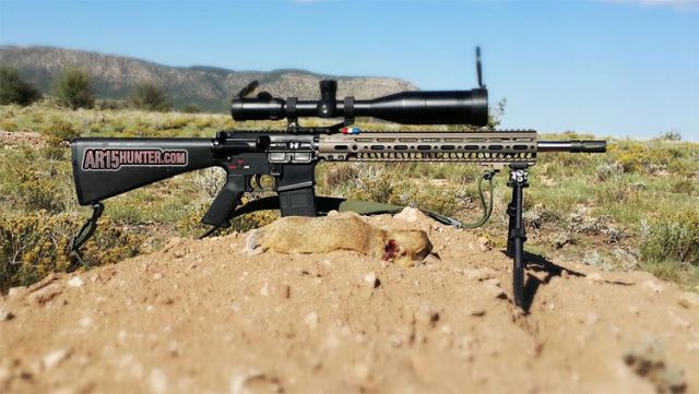 223 Prairie Dog Hunt with Custom AR15