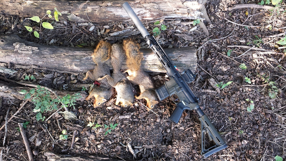 Lightweight Critter Getter – Squirrel Hunt with Tennessee Arms Polymer Lower