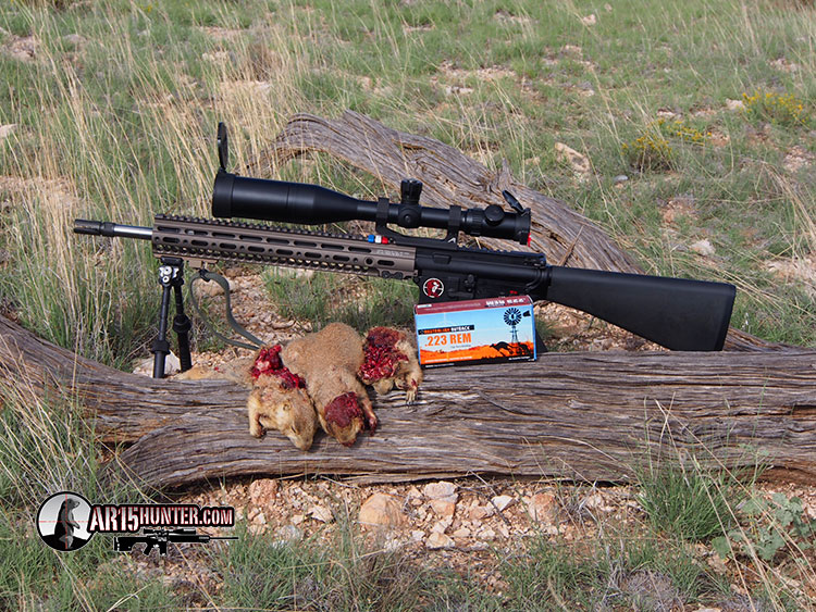 Best 223 Prairie Dog Rifle 