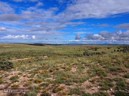 Australian-outback-ammo-arizona-hunt-report-grass-lands-1