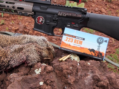 Australian-outback-ammo-arizona-hunt-report-squirrels-1