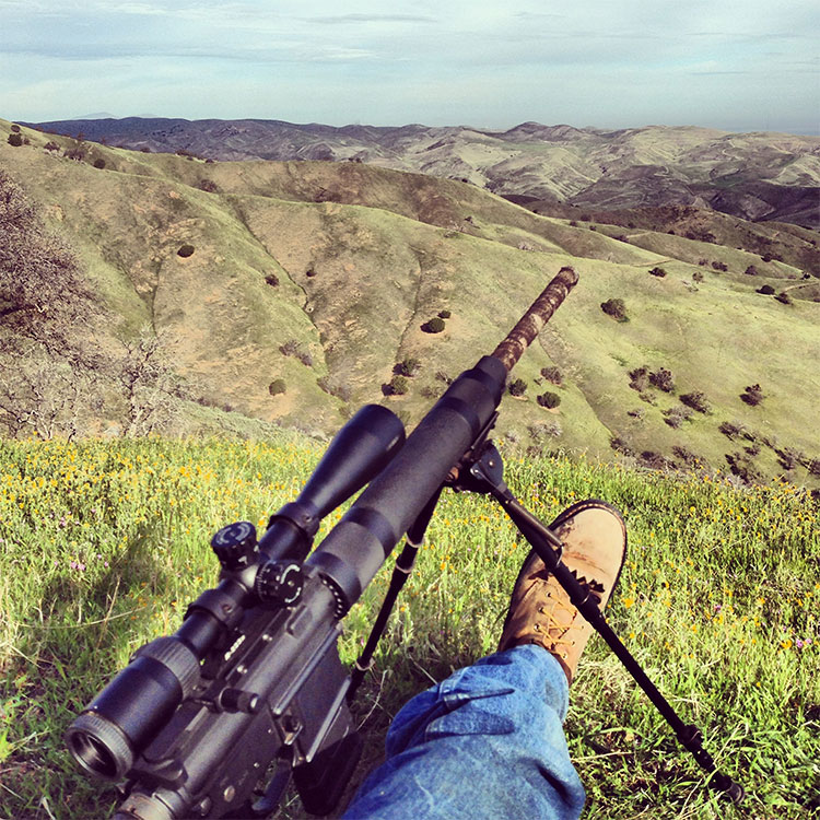 Hunting California Deer with an AR15 in 5.56 Caliber