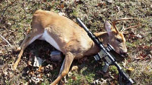 The Author's Buck Taken "Quietly" with a Suppressed SBR Rifle.