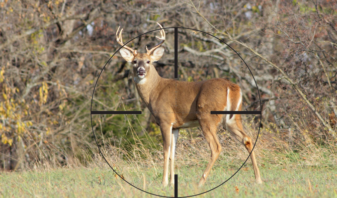 5 Things to Do Right Now to Prepare for Fall Big Game Hunting