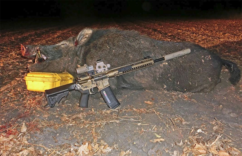 Texas – After Harvest Nighttime Hog Hunt with the 6.8SPC